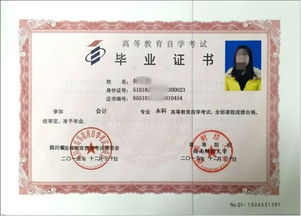 會計自考本科學(xué)位課程