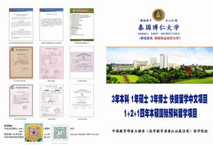 山東大學(xué)自考本科強(qiáng)化實(shí)踐