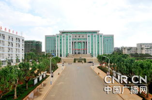 自考本科畢業(yè)證一般什么時候拿