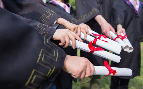 自考本科生復試需要帶什么