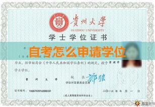 自考本科申請(qǐng)英美m(xù)ba