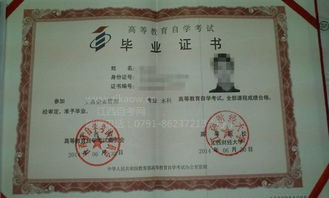 江西自考英語本科考幾次