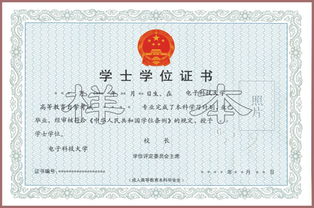 自考本科考試在哪兒