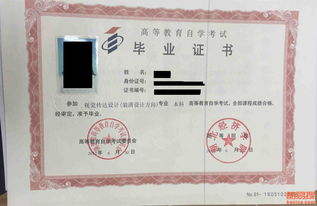 自考本科和網(wǎng)路教育本科