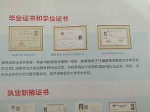 大專文憑與自考本科文憑哪個(gè)好