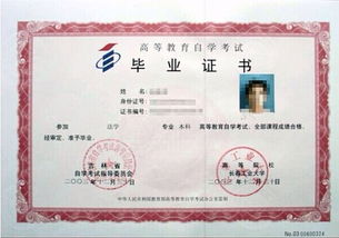 西藏自考本科算西藏生源嗎