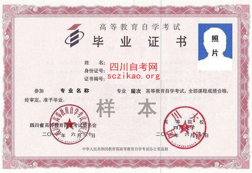 小學文憑可以自考本科么