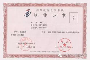 自考本科文憑不能進銀行工作嗎