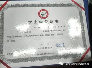 專升本專插本自考本科