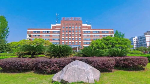 自考本科畢業(yè)找不到工作