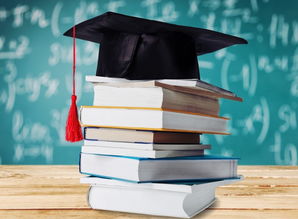 自考本科國(guó)企要嗎