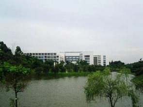 自考本科管理實(shí)施方案