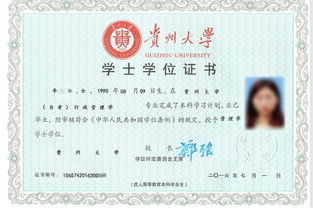 貴州大學(xué)繼續(xù)教育自考本科