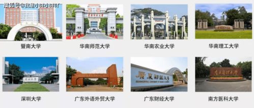 廣東有哪些本科學(xué)校自考招生