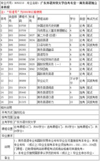 自考本科那科不考英語