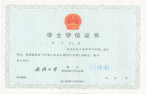 自考本科能去什么樣的公司