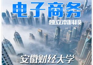 安徽財(cái)經(jīng)大學(xué)自考本科課程