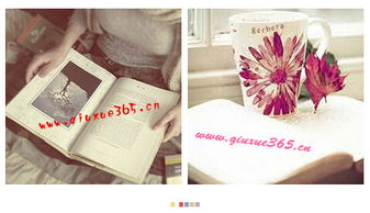 可以一邊工作一邊自考本科嗎