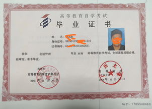 本科自考什么時候可以報名費