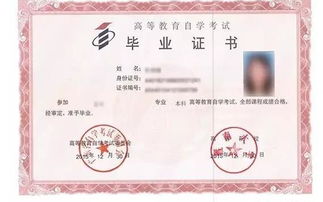 本科自考在學信網上能看出來嗎