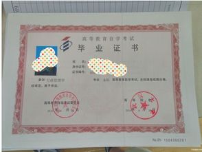 自考本科期間改名字