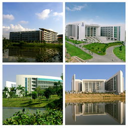 成人自考本科山東師范大學