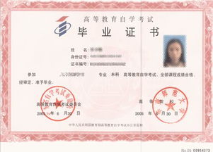 自考本科有什么學(xué)習(xí)網(wǎng)站