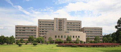 浙江師范大學(xué)自考本科有用嗎