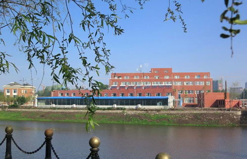 中醫(yī)學(xué)院自考本科長春