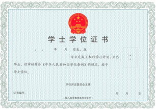 自考本科能考英語專業(yè)嗎