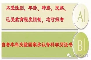 本科生還可以參加自考嗎