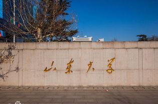 山東自考本科如何申請畢業(yè)