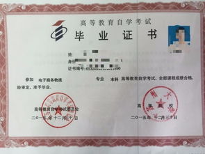 全日制大專PK本科自考