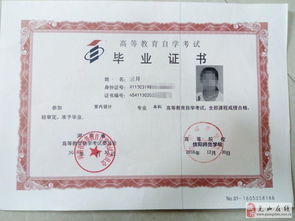 河南自考本科材料