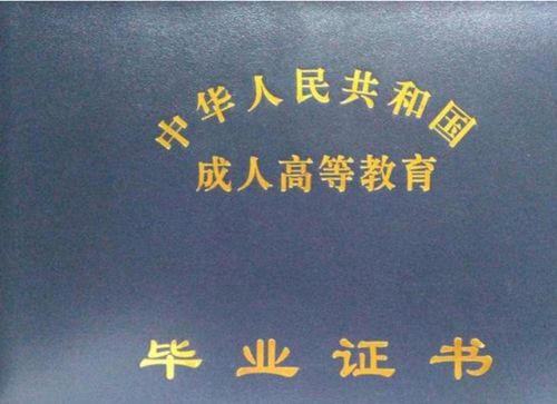 函授本科可以自考專(zhuān)升本考試科目