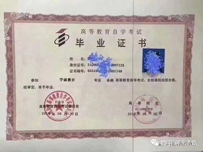 在本科自考別的專業(yè)有用嗎