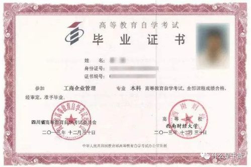 四川自考本科官網(wǎng)10月