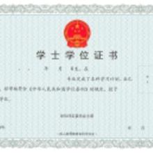 自考本科訓(xùn)軟件