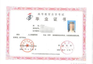 書法自考本科學校