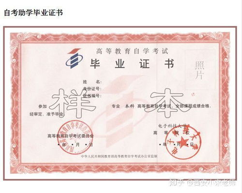 高職大專學歷可以自考本科嗎