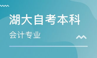 本科會(huì)計(jì)專業(yè)自考報(bào)名