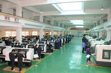 山東協(xié)和學(xué)院能自考本科嗎