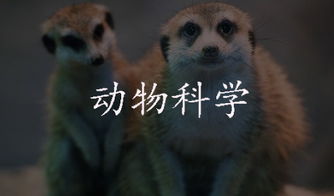 自考動物科學本科
