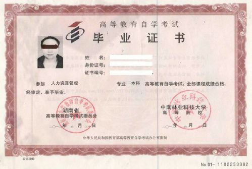 自考本科可以報考幾個