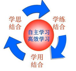 自考本科學(xué)習(xí)經(jīng)歷怎么寫