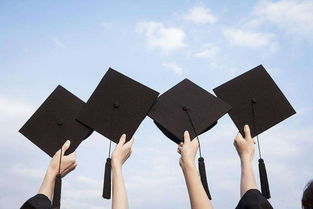 自考本科怎么報雙專業(yè)