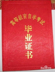 自考本科是否屬于高等院校