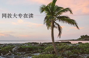 在讀?？粕梢詧?bào)自考本科段嗎