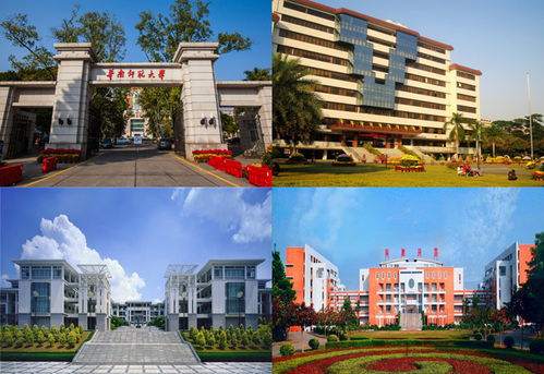 華南師范大學(xué)藝術(shù)設(shè)計(jì)本科自考