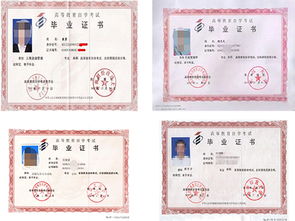 自考本科和大專升本科哪個要好點